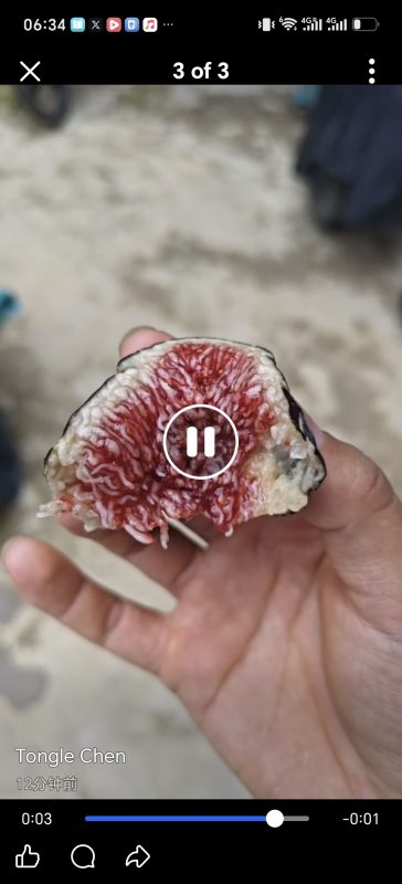 小果迷-种植爱好者交流互动平台