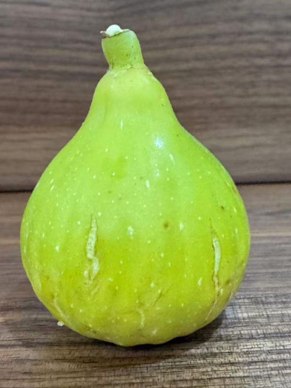 小果迷-种植爱好者交流互动平台