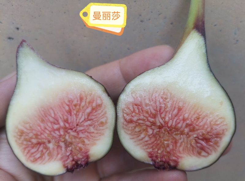 评论图片-小果迷