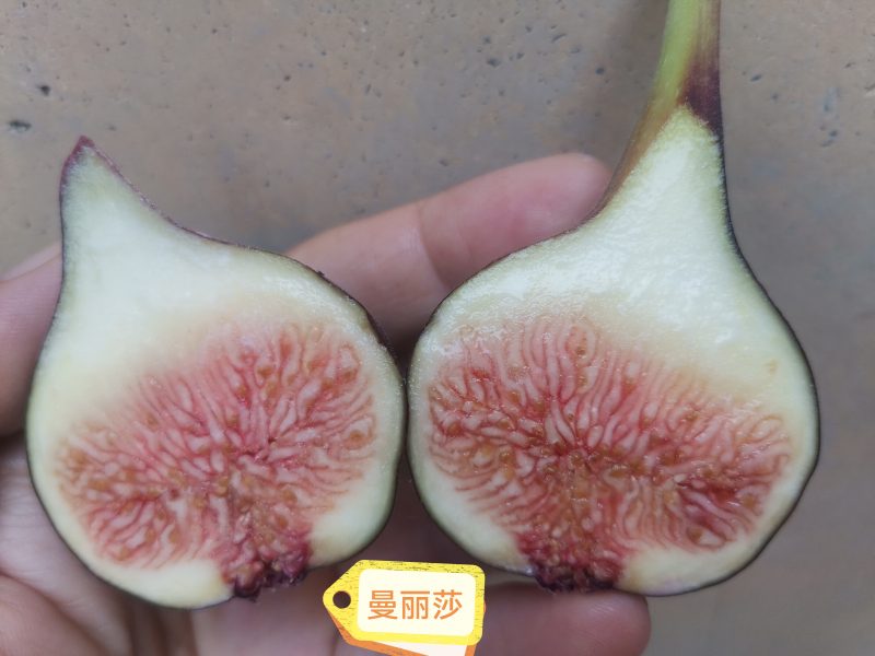 评论图片-小果迷