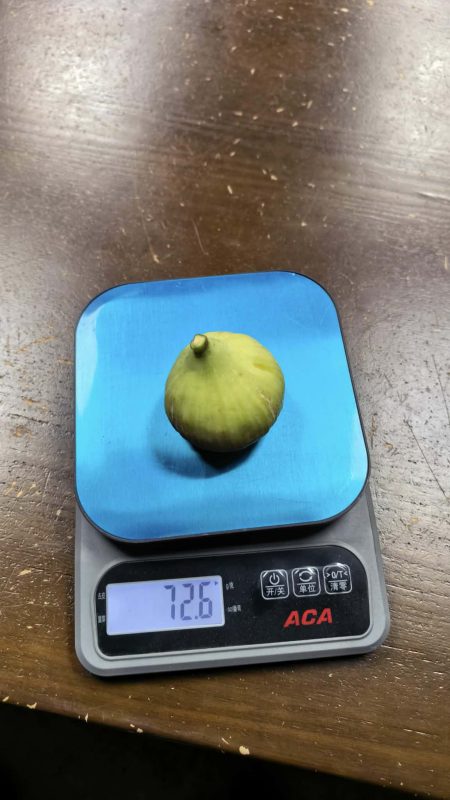 小果迷-种植爱好者交流互动平台
