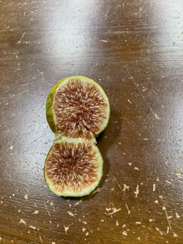 小果迷-种植爱好者交流互动平台