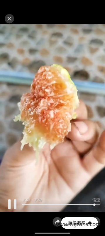 小果迷-种植爱好者交流互动平台