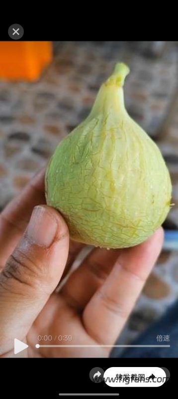 小果迷-种植爱好者交流互动平台