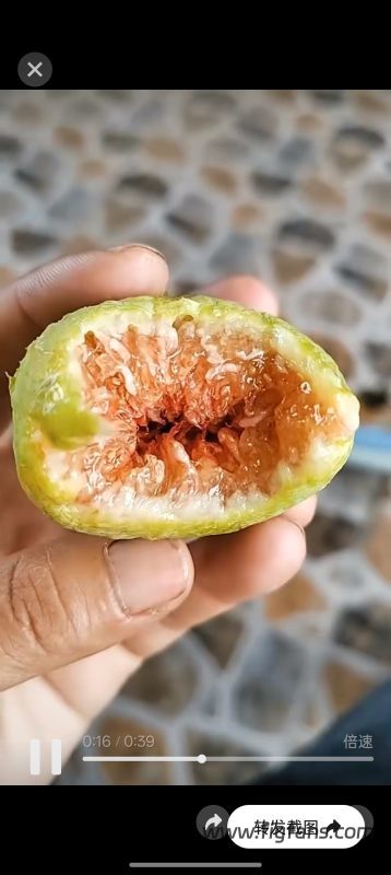 小果迷-种植爱好者交流互动平台