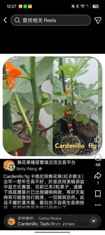 小果迷-种植爱好者交流互动平台