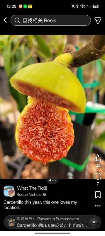 小果迷-种植爱好者交流互动平台