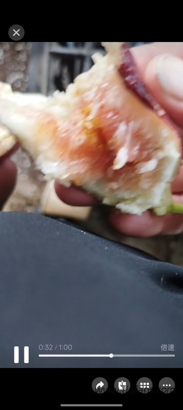 小果迷-种植爱好者交流互动平台