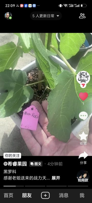 小果迷-种植爱好者交流互动平台