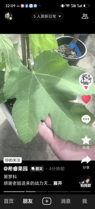 小果迷-种植爱好者交流互动平台