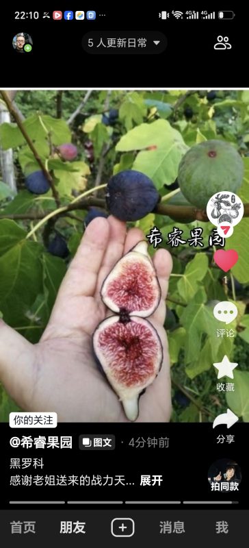 小果迷-种植爱好者交流互动平台