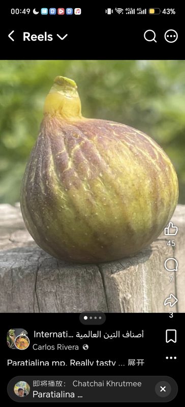 小果迷-种植爱好者交流互动平台