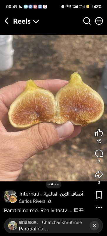 小果迷-种植爱好者交流互动平台