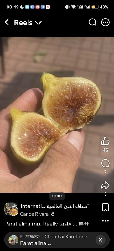小果迷-种植爱好者交流互动平台