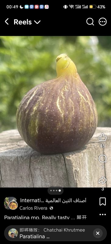 小果迷-种植爱好者交流互动平台