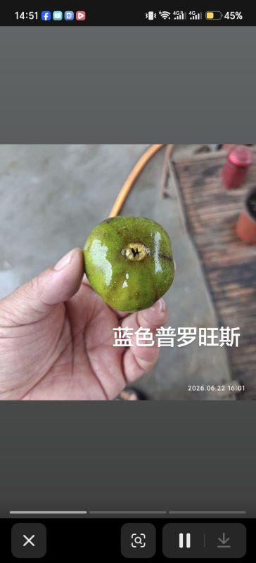 小果迷-种植爱好者交流互动平台