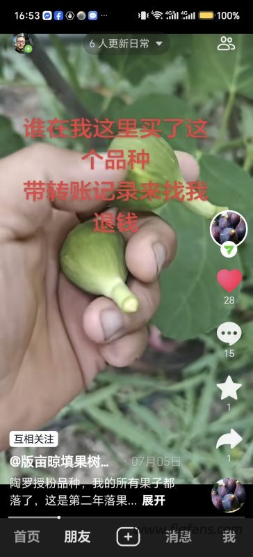 4.托罗/陶罗   Tauro（果图来自半亩良田）-小果迷