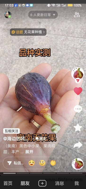 小果迷-种植爱好者交流互动平台