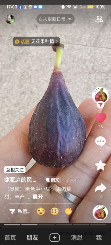 小果迷-种植爱好者交流互动平台