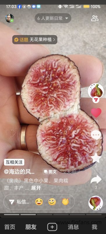 小果迷-种植爱好者交流互动平台
