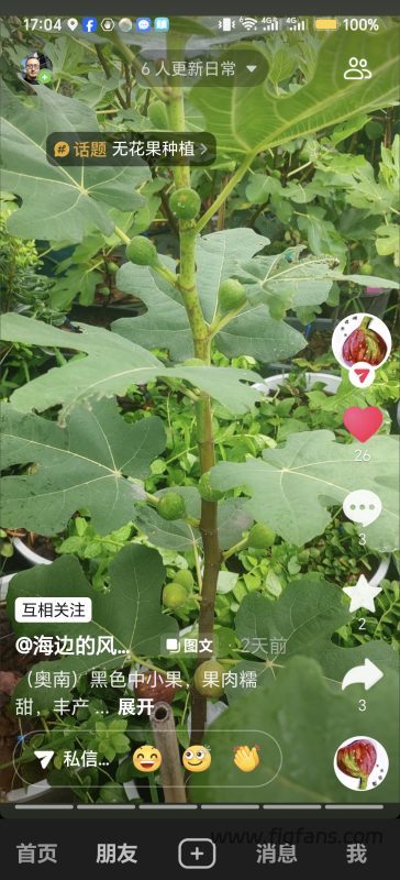 小果迷-种植爱好者交流互动平台