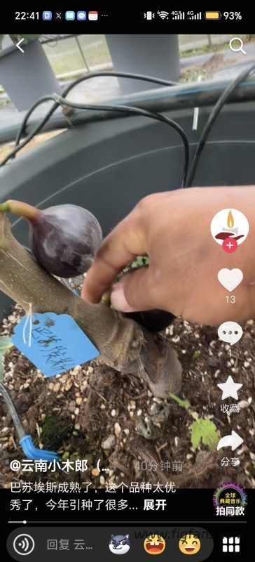 小果迷-种植爱好者交流互动平台