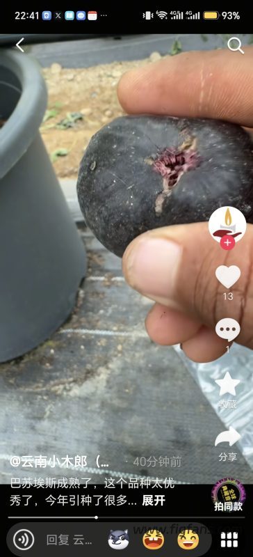 小果迷-种植爱好者交流互动平台