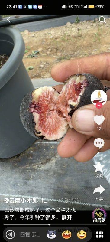 小果迷-种植爱好者交流互动平台