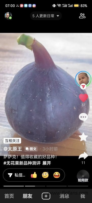 小果迷-种植爱好者交流互动平台