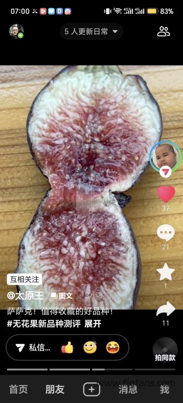 小果迷-种植爱好者交流互动平台