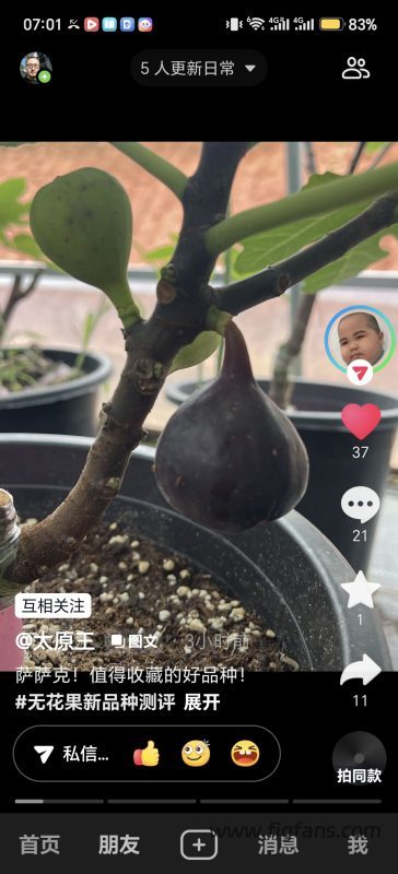 小果迷-种植爱好者交流互动平台
