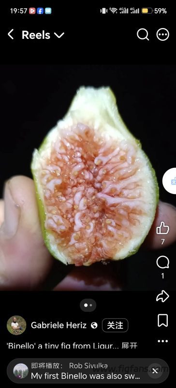 小果迷-种植爱好者交流互动平台