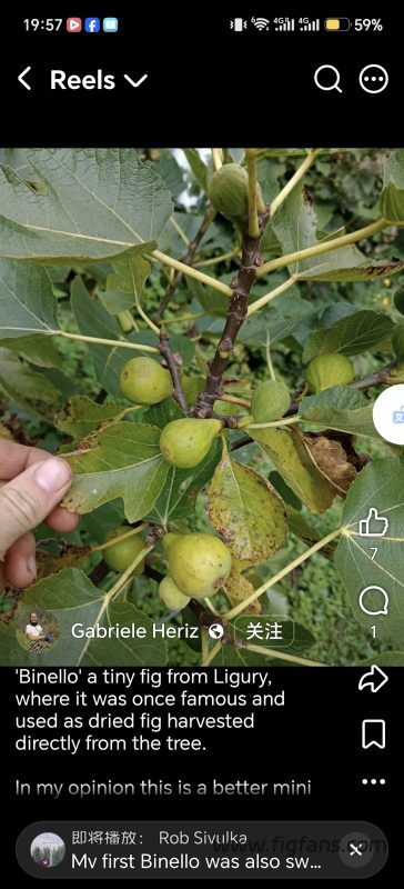 小果迷-种植爱好者交流互动平台
