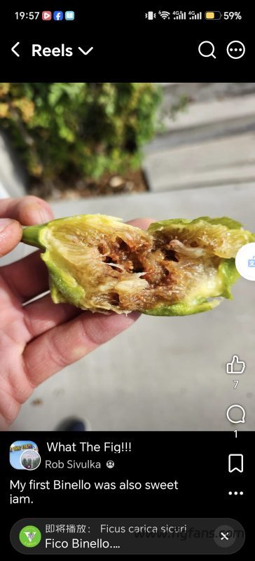 小果迷-种植爱好者交流互动平台