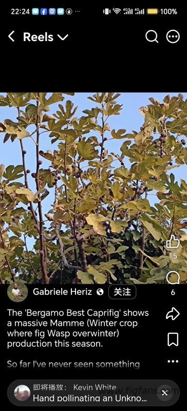 小果迷-种植爱好者交流互动平台