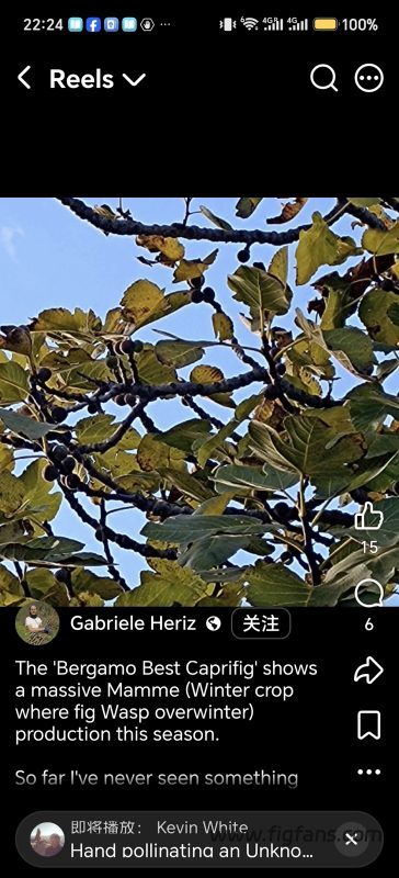 小果迷-种植爱好者交流互动平台