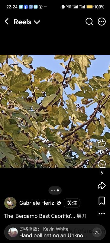 小果迷-种植爱好者交流互动平台