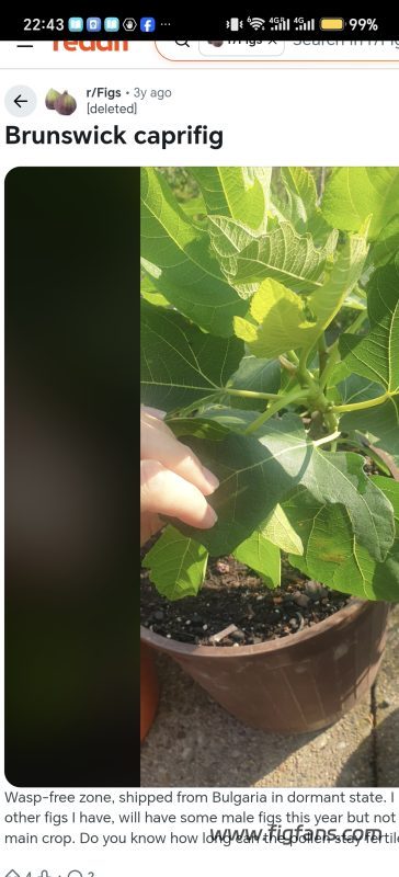 小果迷-种植爱好者交流互动平台