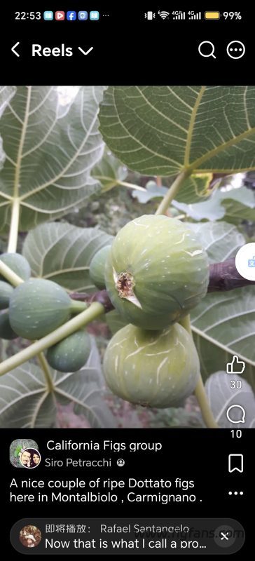 小果迷-种植爱好者交流互动平台