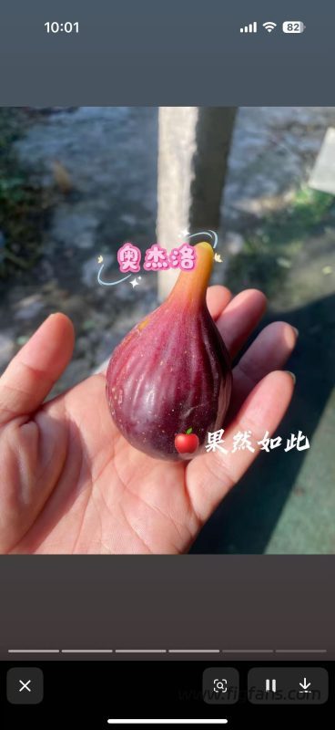 小果迷-种植爱好者交流互动平台