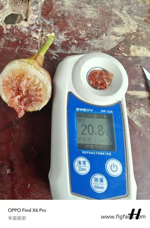 小果迷-种植爱好者交流互动平台