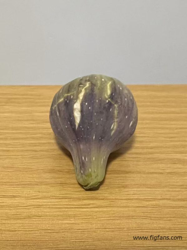 小果迷-种植爱好者交流互动平台