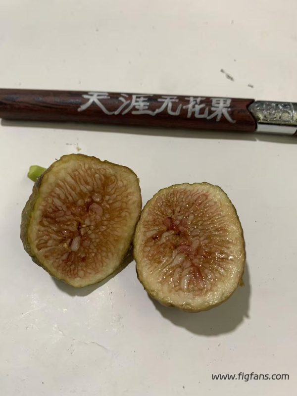 小果迷-种植爱好者交流互动平台