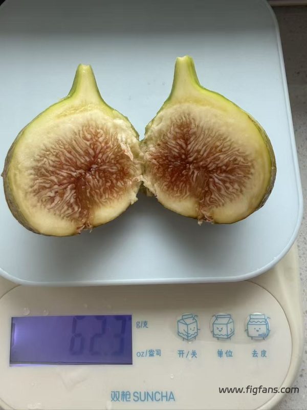 小果迷-种植爱好者交流互动平台
