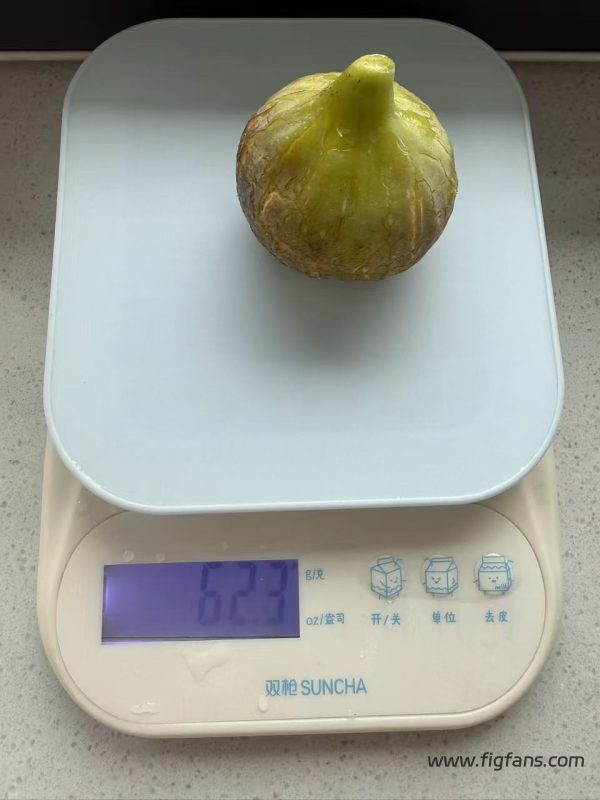 小果迷-种植爱好者交流互动平台
