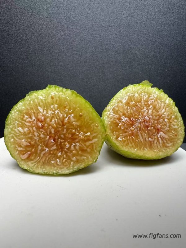 小果迷-种植爱好者交流互动平台