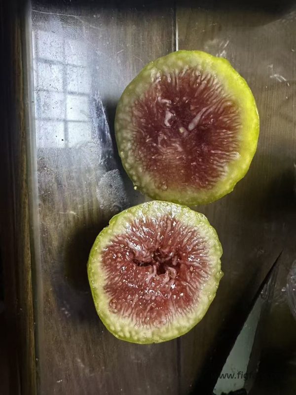 小果迷-种植爱好者交流互动平台