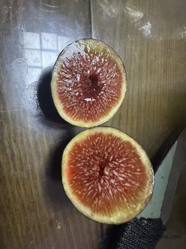 小果迷-种植爱好者交流互动平台
