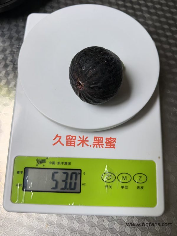 小果迷-种植爱好者交流互动平台