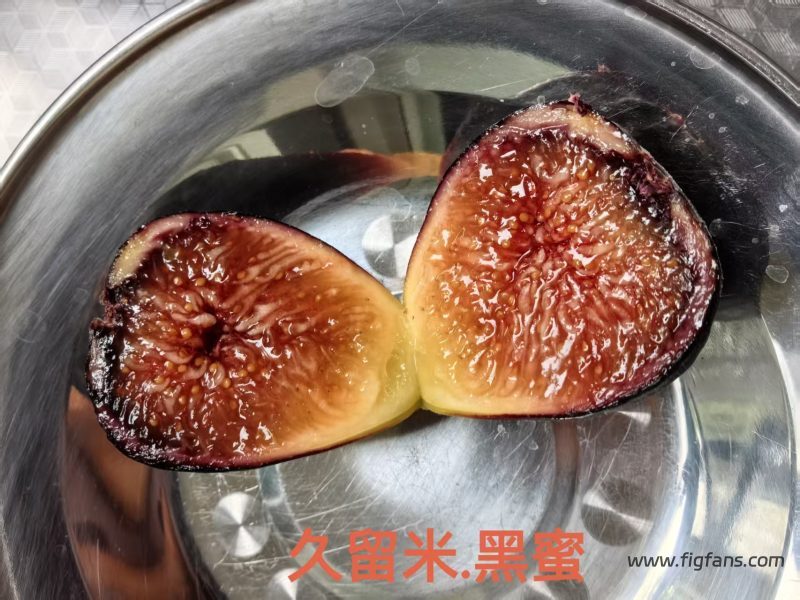 小果迷-种植爱好者交流互动平台